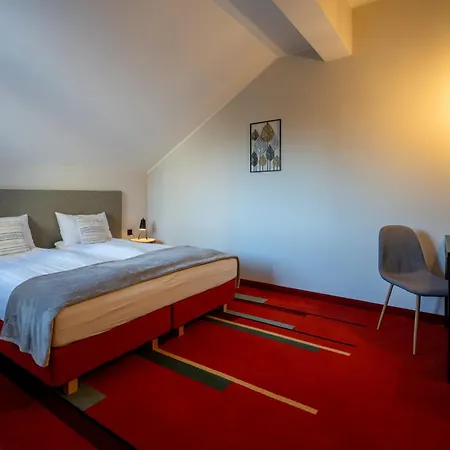 Hotell I Restauracja Czarny Kos