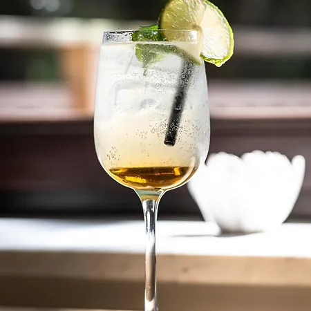 Pokoje I Restauracja Czarny Kos *