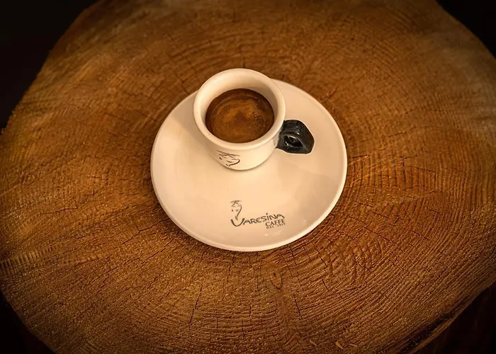 Hotell I Restauracja Czarny Kos