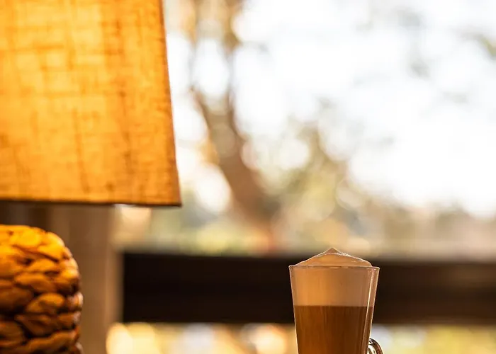 Hotell I Restauracja Czarny Kos Borkowo (Kartuzy)