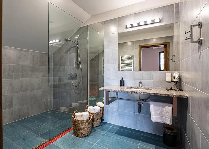 Hotell I Restauracja Czarny Kos *